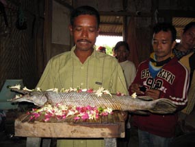 Heboh Ikan Berkepala Buaya di Surabaya